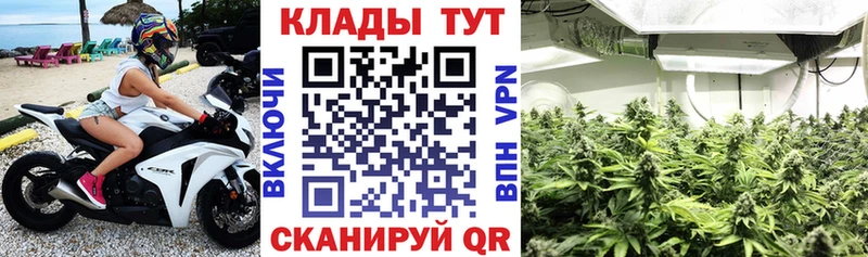 Купить наркотик аптеки Нижнекамск КОКАИН  Псилоцибиновые грибы  Конопля  кракен tor  Меф 