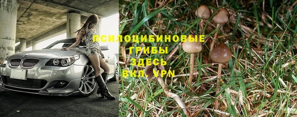 меф Инта