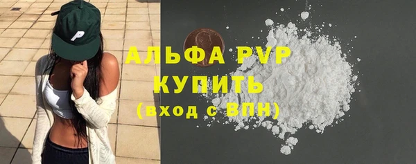 прущий лед Инсар