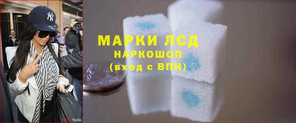 прущий лед Инсар