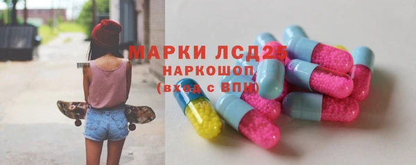 прущий лед Инсар