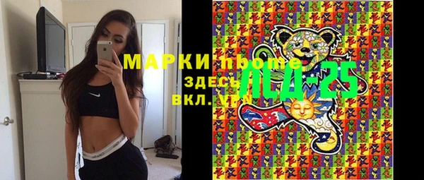 прущий лед Инсар