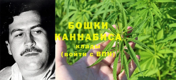 гидропоника Медногорск