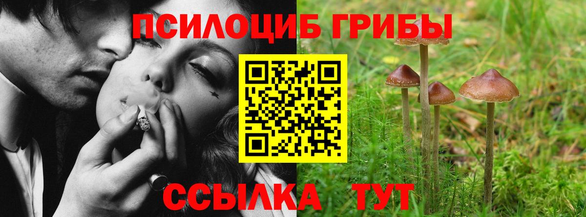 Галлюциногенные грибы Magic Shrooms Нижнекамск