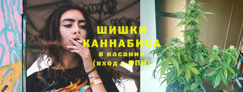 ОМГ ОМГ маркетплейс  Нижнекамск  МАРИХУАНА SATIVA & INDICA 